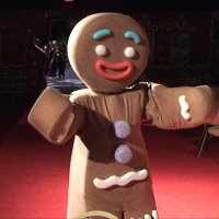 Gingerbread Man