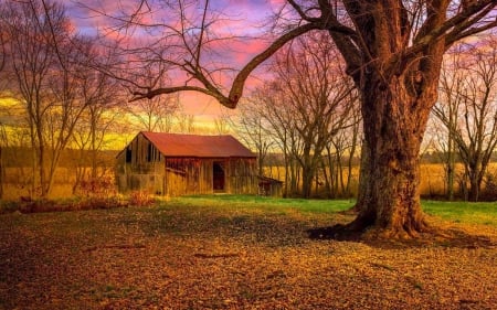 Autumn Fields - sunset, cabin, colors, tree, sky