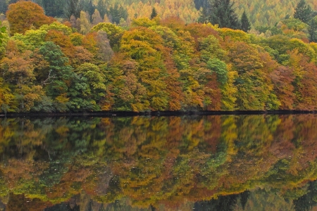 Loch Faskally - Scotland