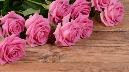 *PinK_RoSeS* - board, flowers, background, roses