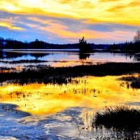 Golden River at Sunset