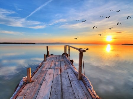 Lake Sunset - nature, sky, seagulls, lake, pier, reflection, sunset, birds