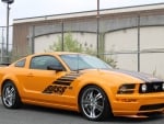 2007 Ford Mustang GT S197 Boss Shinoda Level II 4.6 V8 5-Speed 2-Door Coupe