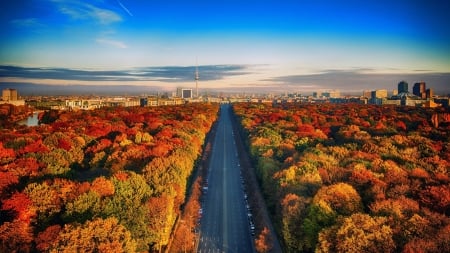 Autumn In Berlin,Germany - trees, cars, nature, autumn, road, forest, berlin, sky