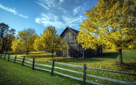 Lonely House with Autumn Trees - nature, sky, autumn, trees, house