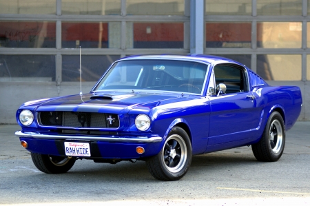 1965 Ford Mustang Fastback 5.0 V8 5-Speed - v8, fastback, muscle, car, mustang, old-timer, 5-speed, ford