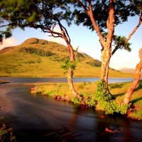 Autumn river landscape