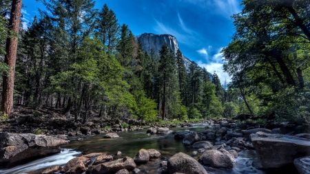 Merced River and El Capitan - scenery, National Park, beautiful, USA, photography, landscape, photo, wide screen, river, California, nature, canyons