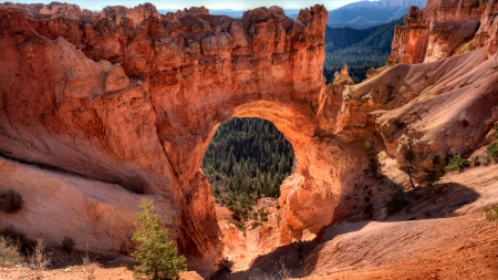 Natural Bridge - wide screen, national park, landscape, utah, photography, nature, beautiful, bryce canyon, scenery, usa, photo