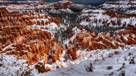 Inspiration Point - wide screen, national park, landscape, utah, photography, nature, beautiful, scenery, usa, photo