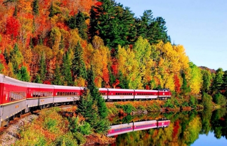 Autumn Trains - nature, autumn, trains, forests