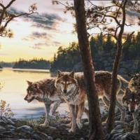 Wolves