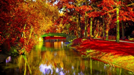 Autumn Park - forest, river, bridge, trees, nature, park, autumn