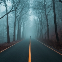 Foggy Road