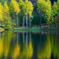 Mirror in the green lake