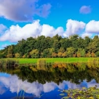 Mirror in the lake