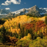 Autumn landscape with birch leaves, pine trees, rocky mountain peaks and snow