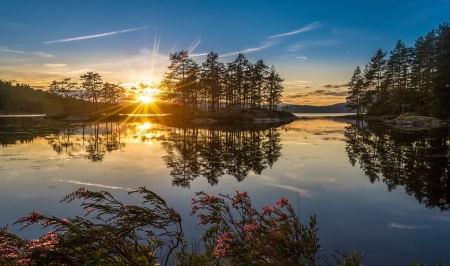 Lakes - Jezioro, Promienie, Slonca, Drzewa