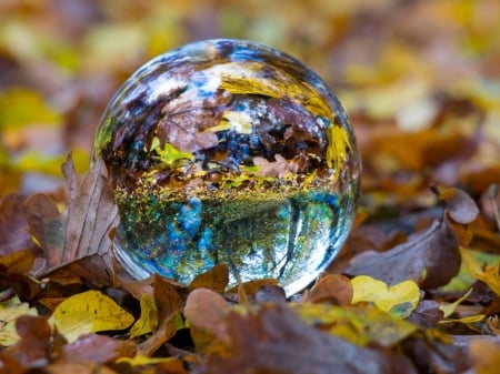 Autumn Globe - globe, nature, autumn, foliage, leaves