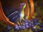 Berry dragon