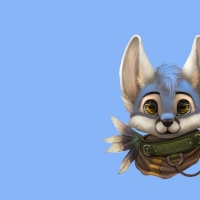 Little fox