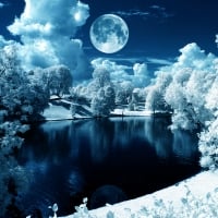 Winter Moon