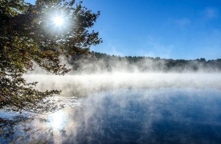 Lakes - jazioro, slonce, mgla, drzewo