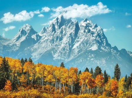 Grand Teton National Park - wyoming, trees, sky, autumn