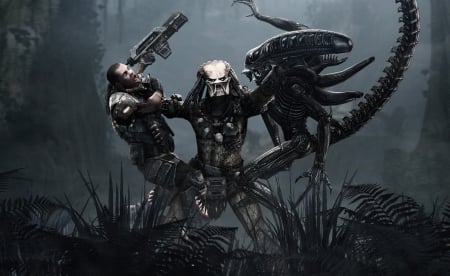 predators vs aliens - jungle, man, alien, predator