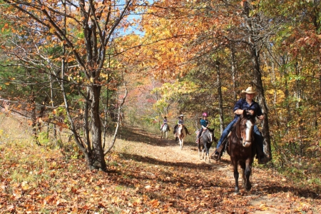 Out On The Trail. .