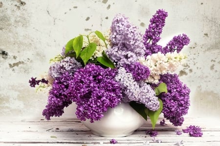 LILACS OF THREE SHADES - flowers, three, shades, lilacs