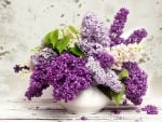 LILACS OF THREE SHADES