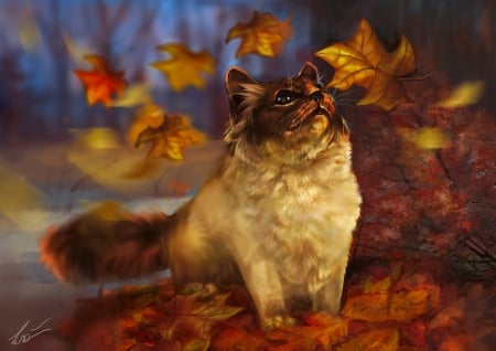 Autumn kitten - autumn, cat, trees, kitty, park, kitten, foliage, art, fall, forest, leaves