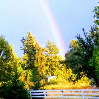 Fall Rainbow