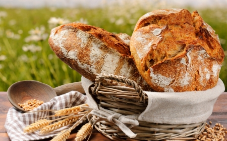 Breads - abstract, wheat, picnic, photography, bread, basket, grass