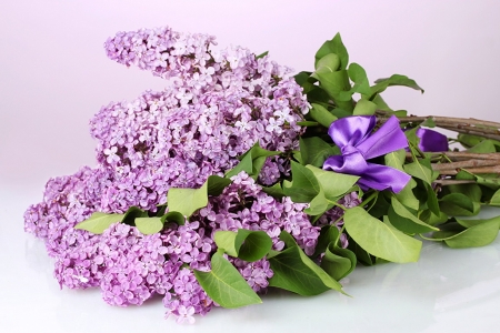 BUNCH OF LILACS - flowers, image, bunch, lilacs