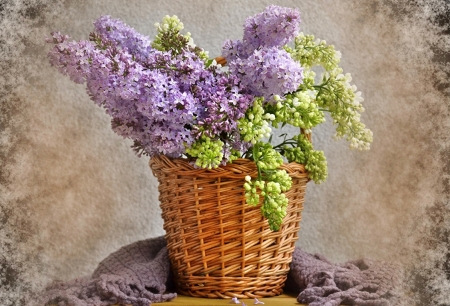 BASKET OF LILACS - LILACS, IMAGE, BASKET, PRETTY