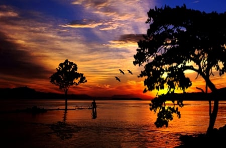 Beautiful sunset - trees, nature, sunset, river