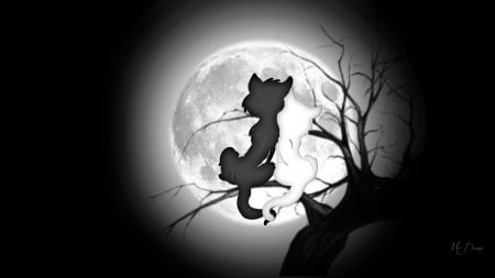 Moon Watch - love, felines, kittens, black and white, kitties, romantic, full moon, cats, tree, firefox persona theme