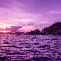 Purple Sunset