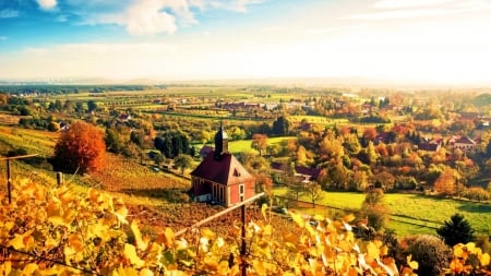 Autumn Vineyard Colors,Germany - house, vineyard, trees, colors, leaves, fall, germany, nature, autumn