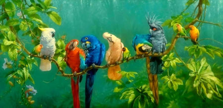 Parrots - branch, colorful, summer, pasare, bird, yellow, parrot, red, blue, green