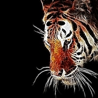Frac Tiger Majestic Creature