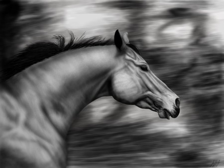 BW Horse by Kyliegirl - abstract, art, horse, 3d, black and white, power