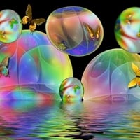 butterfly bubbles