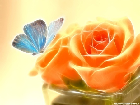 Butterfly n Roses - abstract, butterfly, rose, 3d, flower