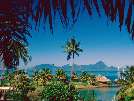 Moorea Island, Tahiti  - french, moorea, polynesia, island