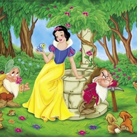 SNOW White wallpaper