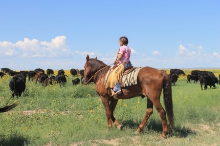 Learning The Herd . . - fun, kids, female, boots, brunettes, children, western, girls, cowgirl, style, outdoors, cattle, horses, herd, ranch