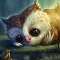 Owl and Frog